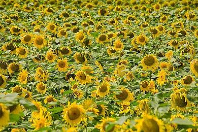 《无主之地：潘多拉魔盒典藏版》公布 60美元买6个游戏